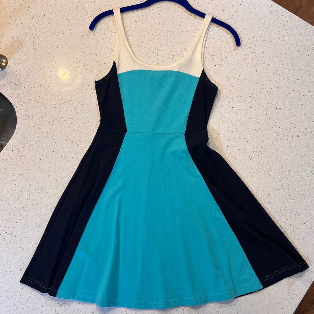 Express Fit and Flare ALine dress